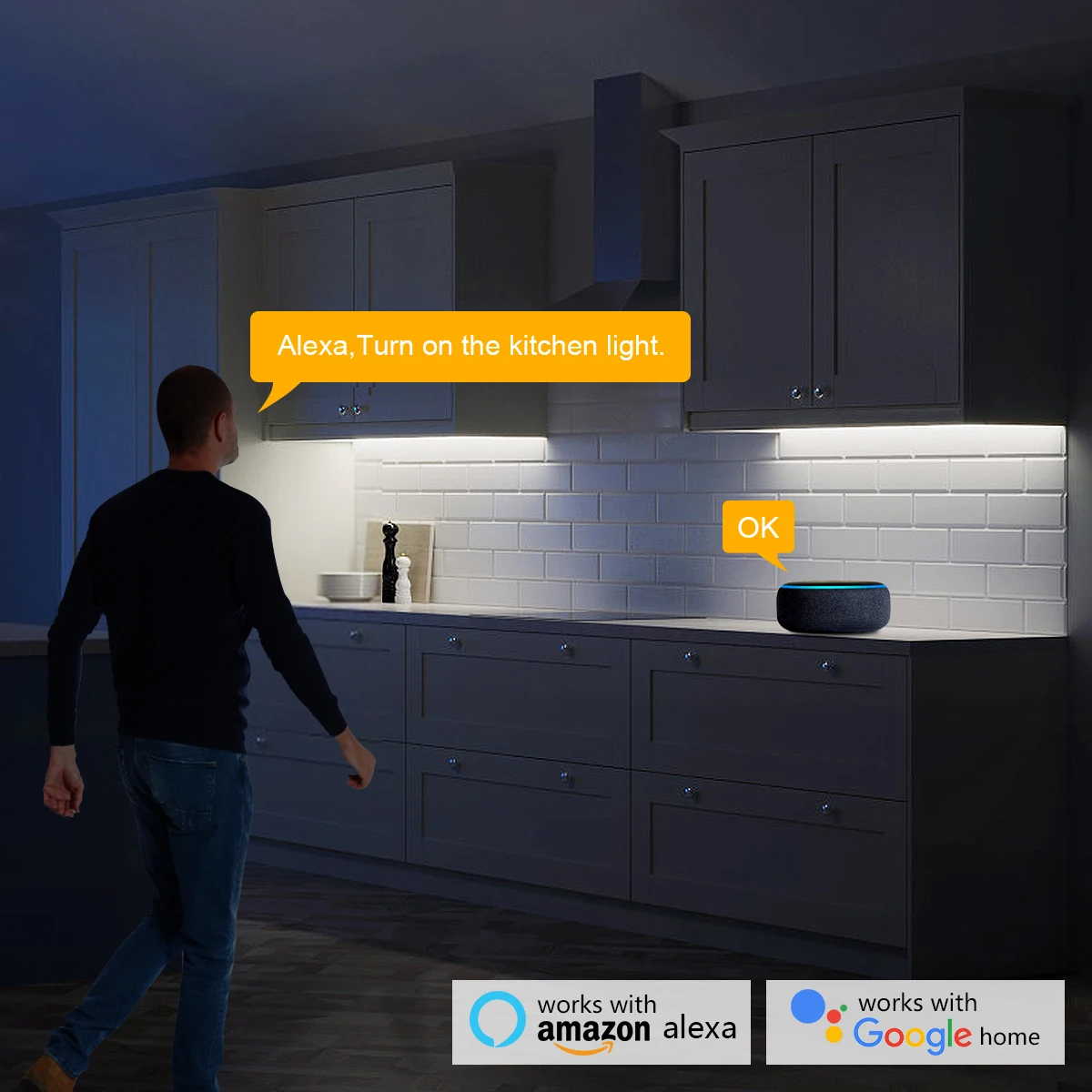 Luz LED Inteligente Zigbee Tuy - Home Decor App Free avaliação e preço