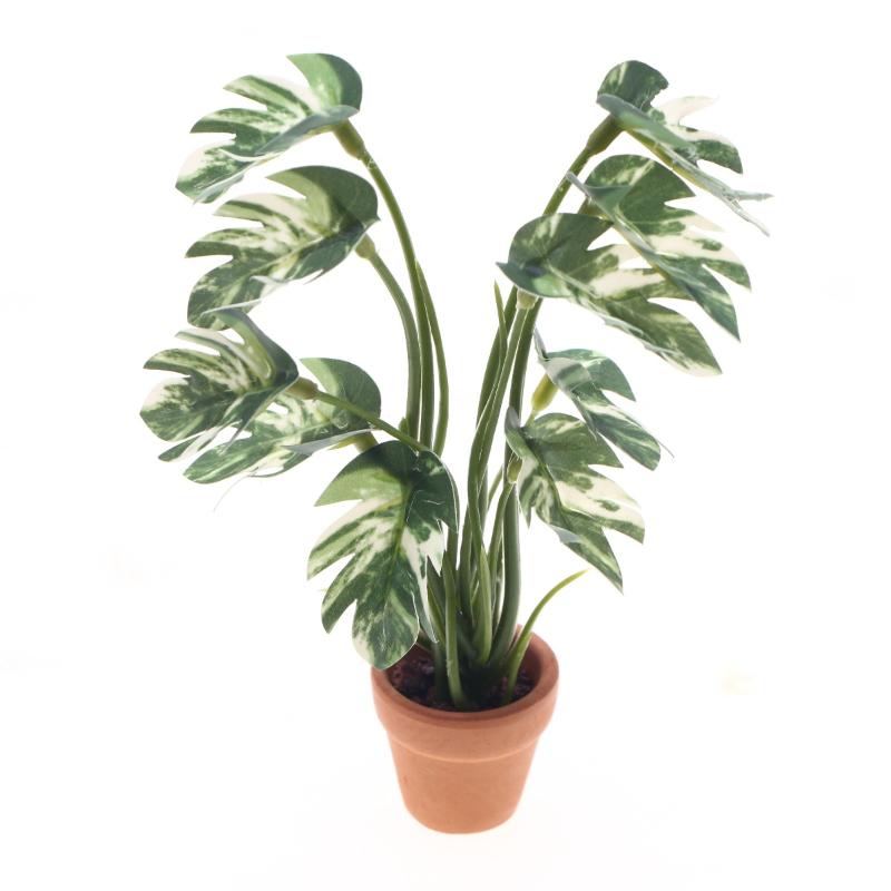 Novo. 1PC Planta Verde Monster - Home Decor Green avaliação e preço