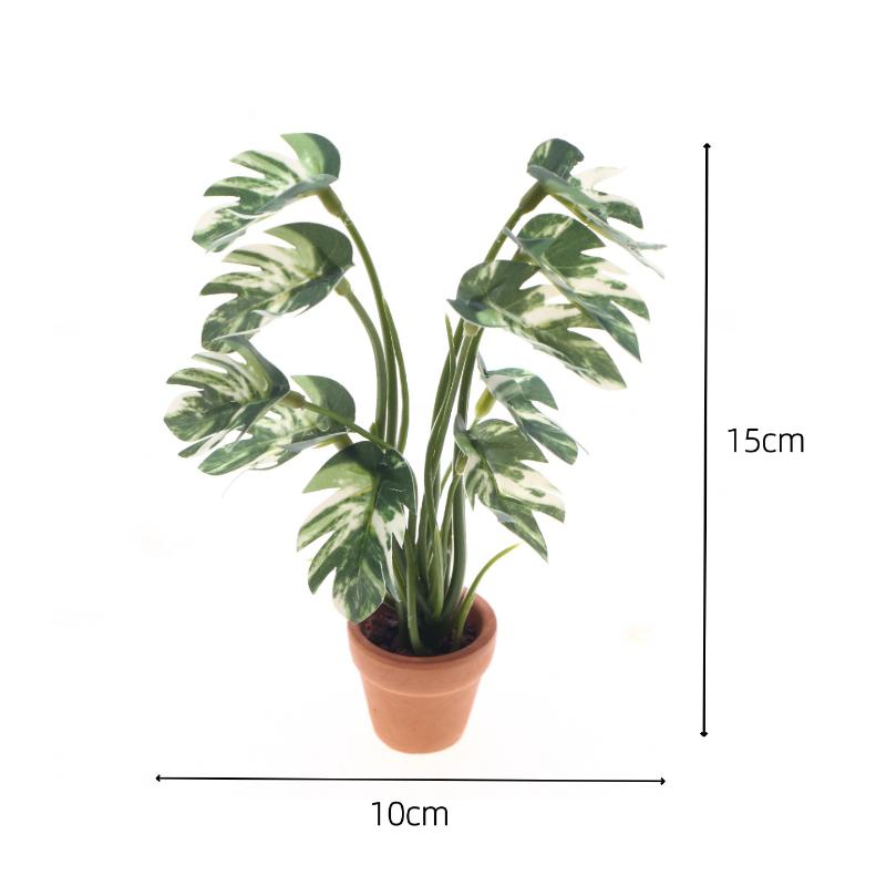 Novo. 1PC Planta Verde Monster - Home Decor Green avaliação e preço