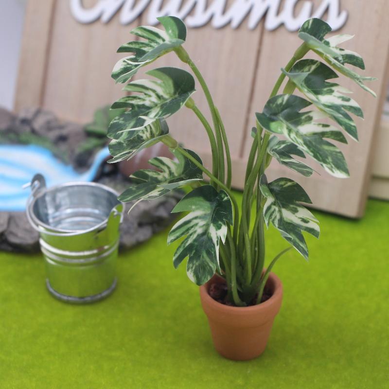 Novo. 1PC Planta Verde Monster - Home Decor Green avaliação e preço
